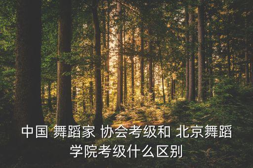 中国 舞蹈家 协会考级和 北京舞蹈学院考级什么区别