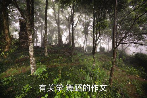 有关学 舞蹈的作文