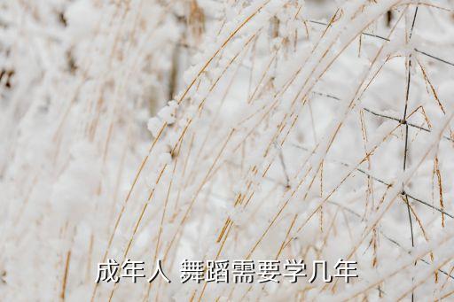 成年人 舞蹈需要学几年