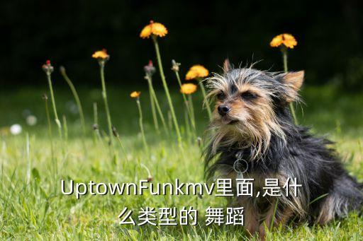 UptownFunkmv里面,是什么类型的 舞蹈