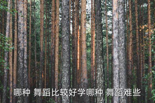 哪种 舞蹈比较好学哪种 舞蹈难些