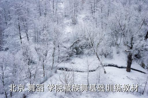 北京 舞蹈 学院藏族舞基础训练教材