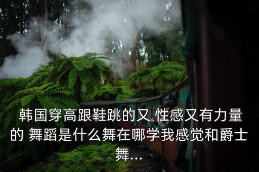  韩国穿高跟鞋跳的又 性感又有力量的 舞蹈是什么舞在哪学我感觉和爵士舞...
