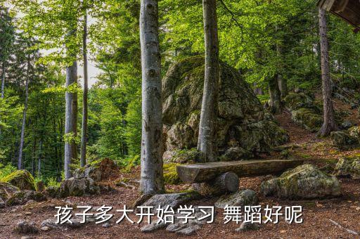 舞蹈几岁练技巧班好,孩子学习中国舞蹈8岁前不建议训练