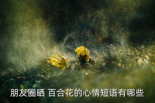 哭泣的百合花舞蹈视频,死者追踪花絮