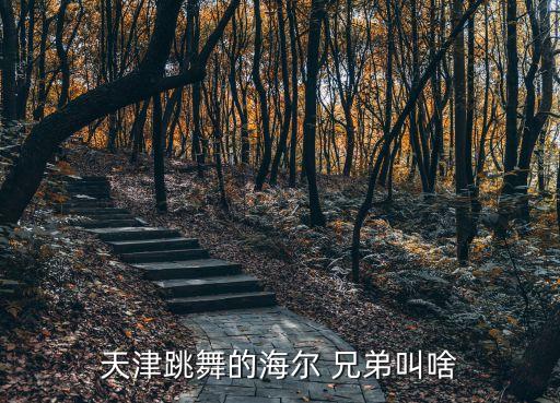 天津跳舞的海尔 兄弟叫啥