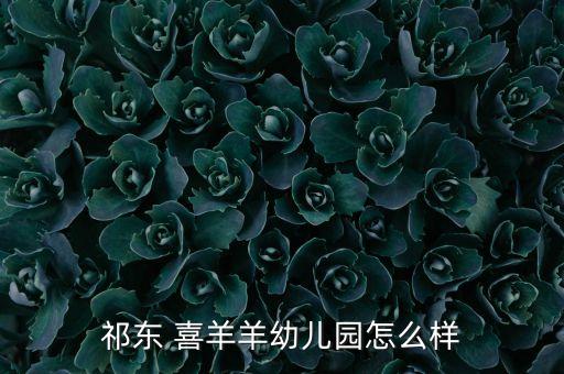祁东 喜羊羊幼儿园怎么样