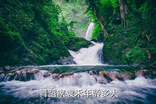 中国舞舞蹈家,《中国舞蹈形象》奠基人唐诗艺先生