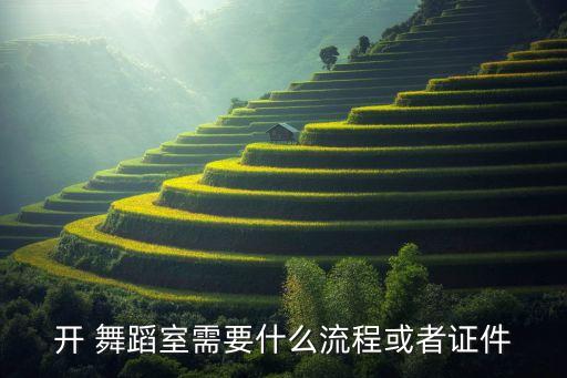 开 舞蹈室需要什么流程或者证件
