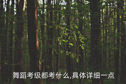  舞蹈考级都考什么,具体详细一点