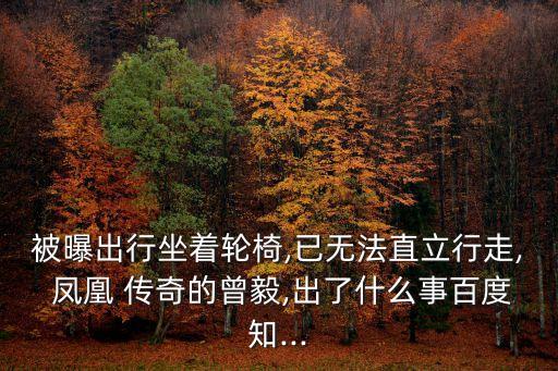 凤凰传奇的舞蹈老师,最炫民族风（凤凰-1/发行单曲