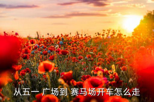 从五一 广场到 赛马场开车怎么走