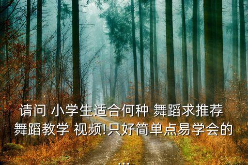 请问 小学生适合何种 舞蹈求推荐 舞蹈教学 视频!只好简单点易学会的...