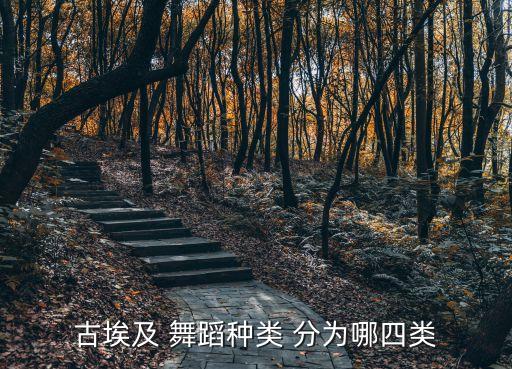 古埃及 舞蹈种类 分为哪四类
