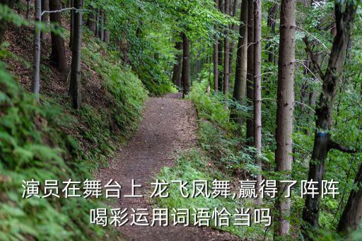 演员在舞台上 龙飞凤舞,赢得了阵阵喝彩运用词语恰当吗