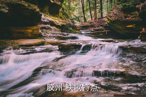 秧歌舞蹈的特点,中国山东菏泽大学生艺术团队推出新艺术形式