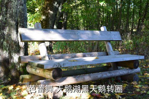  芭蕾舞 天鹅湖黑天鹅转圈