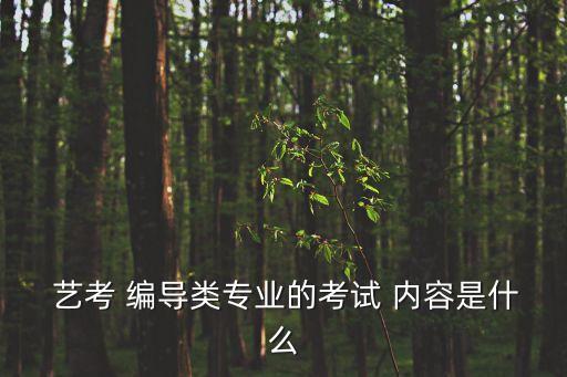 舞蹈编导艺考内容,舞蹈统考或联考只有一门考试没有复试