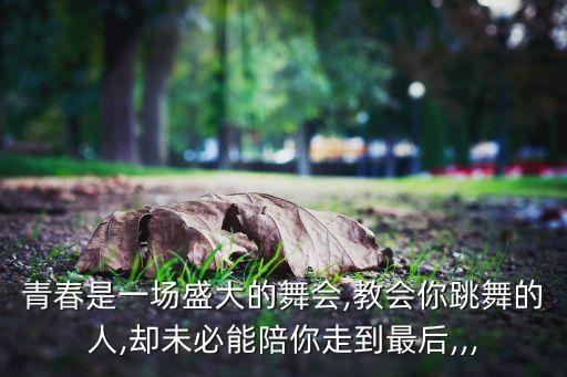 青春是一场盛大的舞会,教会你跳舞的人,却未必能陪你走到最后,,,