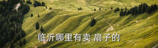 扇子舞蹈服装裙,和鸡王广成版服装牛仔裤和白衬衫