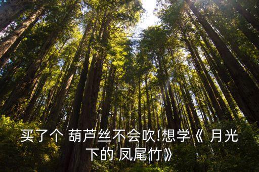 买了个 葫芦丝不会吹!想学《 月光下的 凤尾竹》