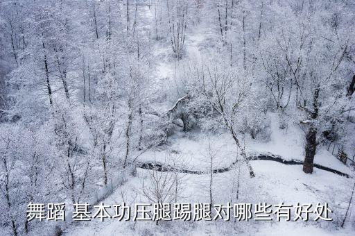 舞蹈基本功好处,基本功是舞者必须练的东西