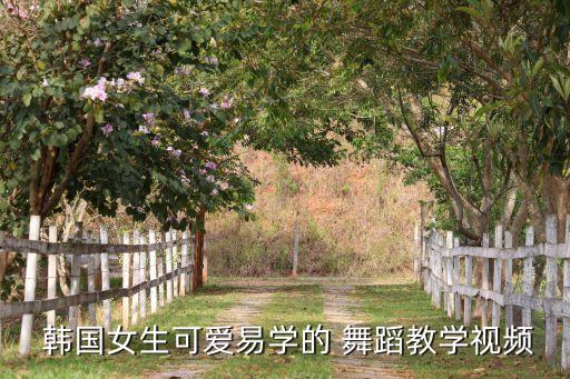  韩国女生可爱易学的 舞蹈教学视频