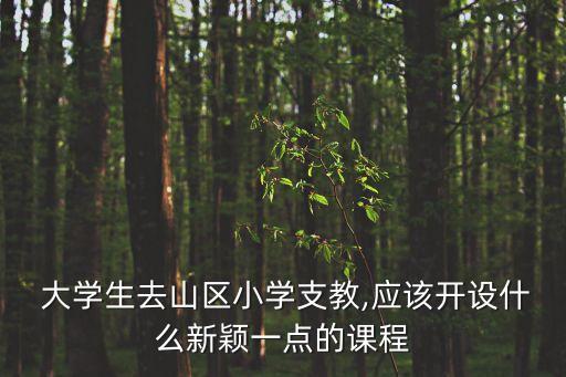  大学生去山区小学支教,应该开设什么新颖一点的课程