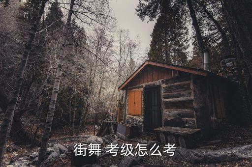 舞蹈考级怎么报名,中国舞蹈考级费由各省根据经济发展水平决定