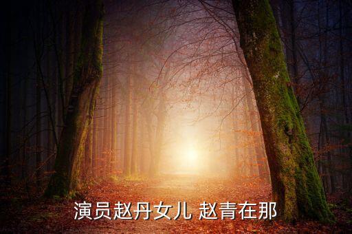 赵青舞蹈视频,百度企业信用查看四川赵青舞蹈更多信息和资讯