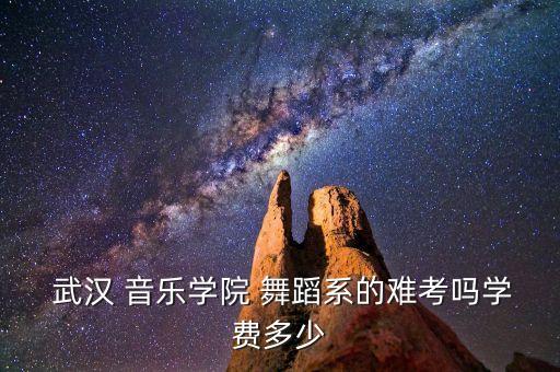  武汉 音乐学院 舞蹈系的难考吗学费多少