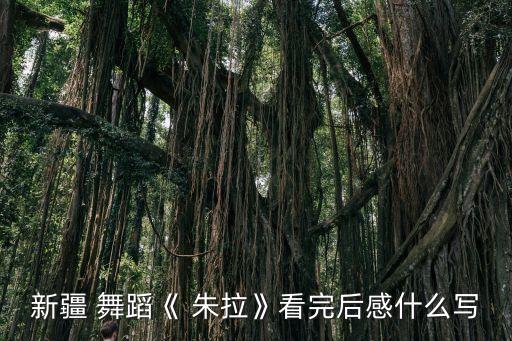 朱拉舞蹈,新疆维吾尔族舞蹈朱拉展现成熟女性的自信和柔软