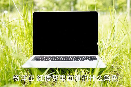 杨洋在 红楼梦里面演的什么角色