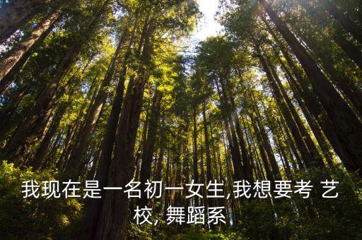 艺校舞蹈面试,想学音乐舞蹈专业不能去所谓艺校