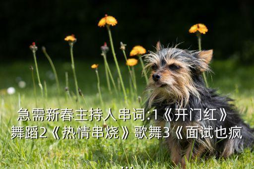 急需新春主持人串词:1《开门红》 舞蹈2《热情串烧》歌舞3《面试也疯...