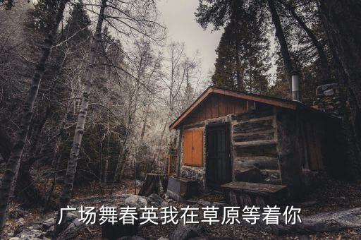 广场舞春英我在草原等着你