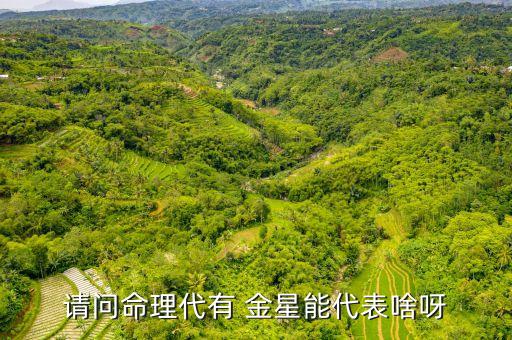 请问命理代有 金星能代表啥呀