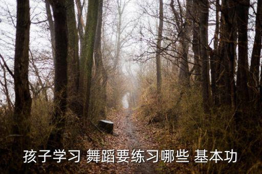 幼儿园舞蹈基本功训练,孩子学舞蹈好处多一点家长要引起重视