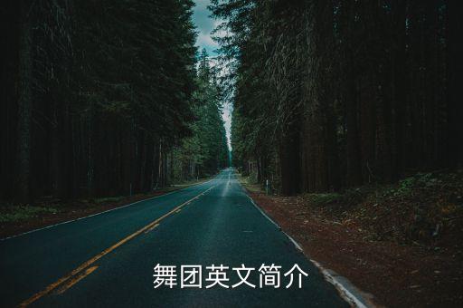 舞团英文简介