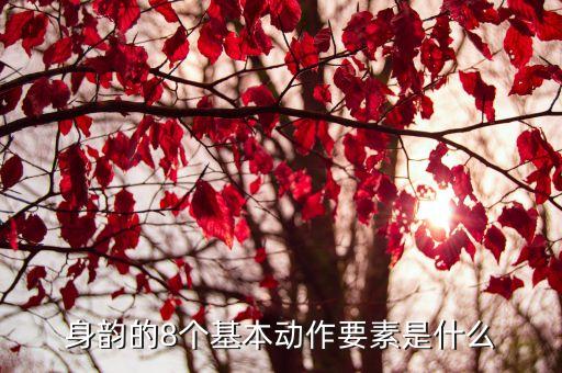 身韵的8个基本动作要素是什么