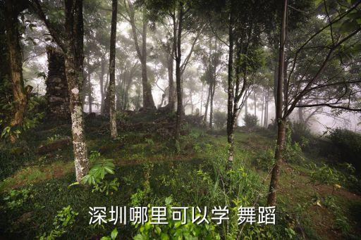  深圳哪里可以学 舞蹈