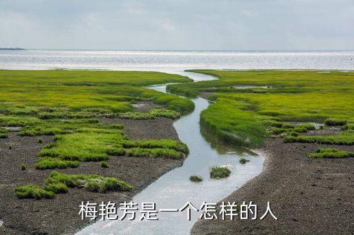梅艳芳的舞蹈什么水平,我认为她声乐质量一流演唱风格独特