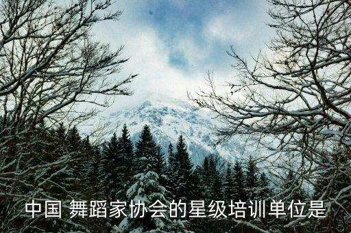 中国 舞蹈家协会的星级培训单位是