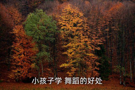 当你老了儿童舞蹈动作,儿童薛舞蹈优点:动作协调性训练强身体