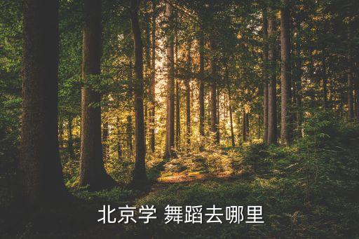  北京学 舞蹈去哪里