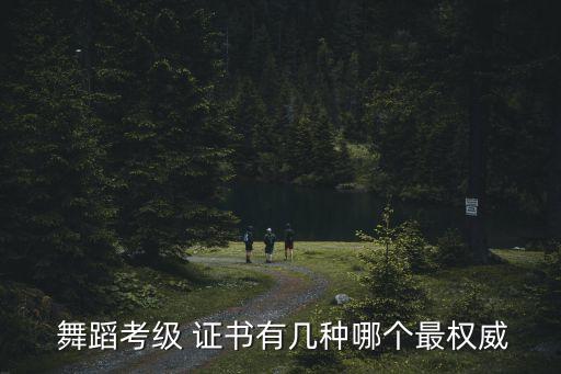 舞蹈个人获奖证书,中国舞蹈家协等级考试证书现场授课
