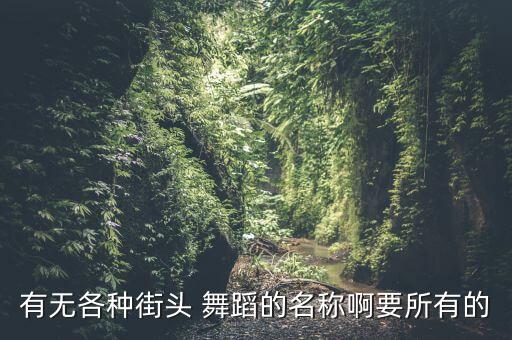 有无各种街头 舞蹈的名称啊要所有的
