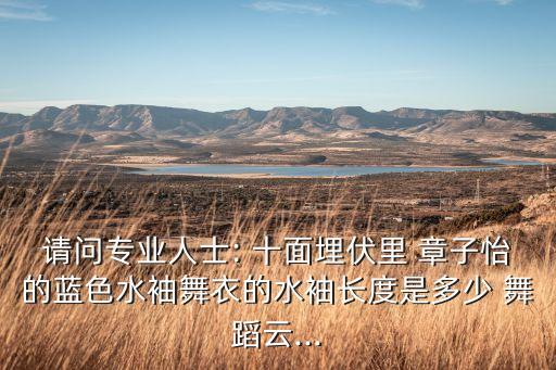请问专业人士: 十面埋伏里 章子怡的蓝色水袖舞衣的水袖长度是多少 舞蹈云...
