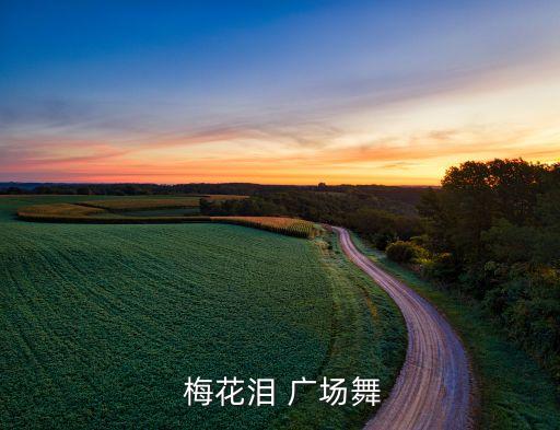  梅花泪 广场舞