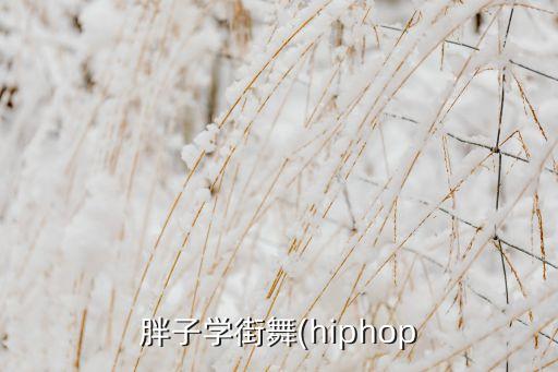如果身材胖 想学舞蹈可以吗,胖芭蕾之舞者